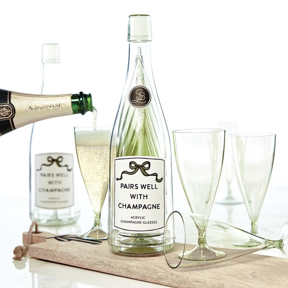 “PAIRS WELL WITH CHAMPAGNE” Acrylic Champagne Glass/set of 5-NIB/new in bottle!